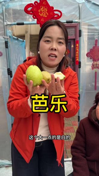 奶油芭乐,清香软糯,像冰淇凌一样的口感#好物推荐🔥