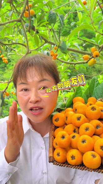 北方的朋友们,你们到尝没尝过枇杷的味道#枇杷熟了 #水果 #枇杷季节吃枇杷