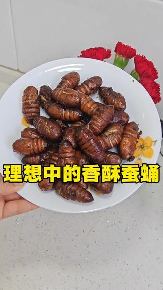 今天的蛋白质蚕蛹同志贡献了80%,虽然空气炸锅做的不是很酥,但是我相信我有办法做出来贼酥脆的蚕蛹。打包好给我爷寄回去吃。
#香酥蚕蛹 #是分享不是教程 #真实生活分享计划 #吃货日常 #空气炸锅