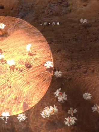 恒河水,我的泪。#shiva yp:@南京锁