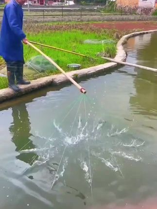 #捕鱼网 #抓鱼网 #开放式捕鱼网 #可折叠捕鱼网