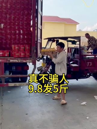 #芒果 #台农芒果