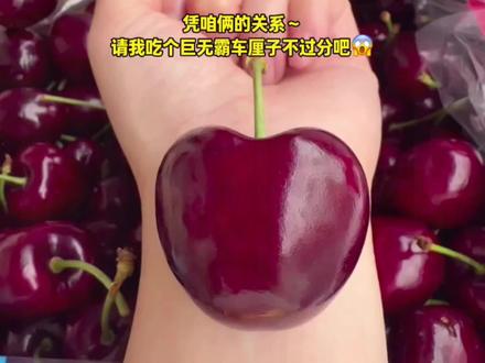 教孩子学会“吵架”,不惹事也不能怕事,在善良中带有一些锋芒,避免社交伤害#亲子教育#正确的引导孩子陪伴孩子#家长必读