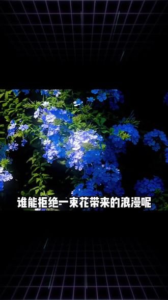 #深海花园 指尖轻点种下梦想,真花包裹惊喜送达!打造你的专属深海花园