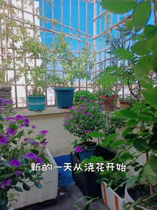 24-26零跑C10C16车门上储物盒门把手收纳垫汽车内饰改装配件用品