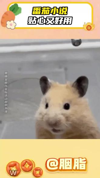 番茄小说贴心又好用!#番茄小说 #短剧