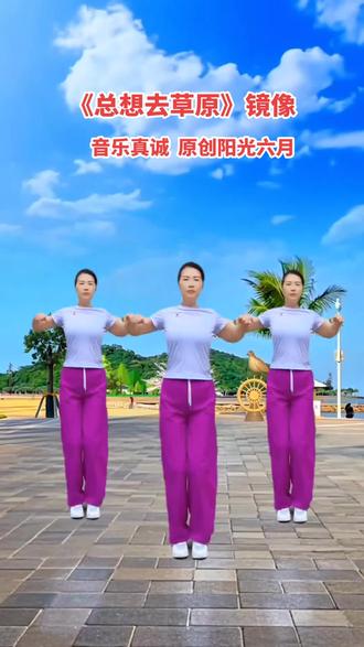 #真实生活分享计划 《总想去草原》 听着这音乐,好想去草原撒个野( ﹡ˆoˆ﹡ )#上热门 #抖加小助手 #弹跳混搭风 #热门歌曲