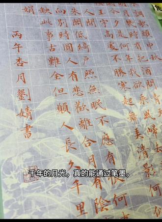 朱砂小楷|苏轼《水调歌头》
一笔一画,皆是心意
一字一句,尽是旷达#小楷 #古诗词 #书法日常