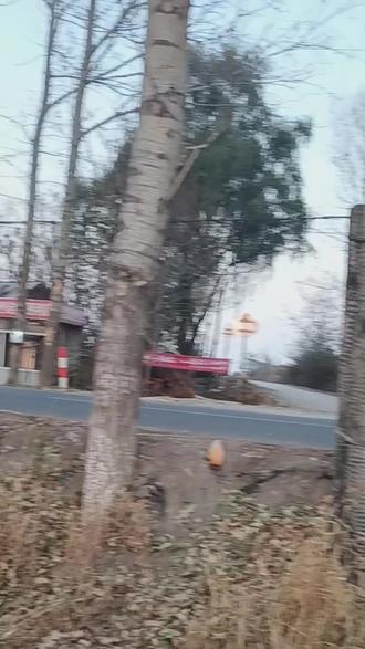 万能的豆包的回答#新闻资讯#新闻热点 #新闻现场