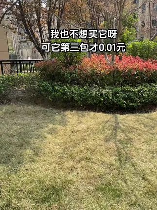 孩子:你现在不吃学习的苦,将来必定加倍吃搬砖的苦!#学习的苦#亲子教育#叛逆孩子