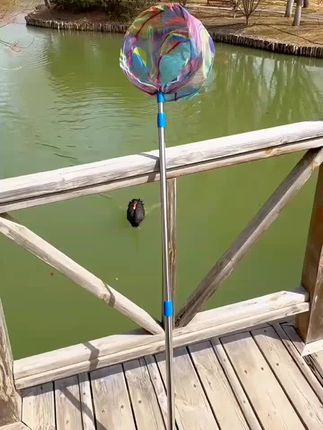 儿童捞鱼鱼网伸缩抄网蜻蜓鱼小虾渔网不锈钢户外蝴蝶玩具昆虫网yj #抄网  #捞鱼网  #鱼虾网  #捕鱼