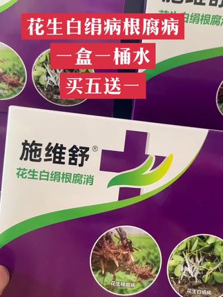 花生白绢病根腐病 #三农 #农业种植 #抖音助农 #超便宜超划算 #爆款热卖中 @DOU+小助手 @DOU+上热门 @DOU+小热门🔥粉丝千千万🔥 @DOU+好生意