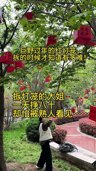 咱巨野过年的满树红灯笼,谁看了不夸一句漂亮! 巨野花姐亲自体验拆灯笼,才知道这活有多磨人!举着竹竿晃半天,胳膊酸到抬不起,才好不容易拆下来3个。
负责拆灯笼的大姐,兼职一天挣80块钱,特意戴着口罩,就怕被熟人认出来,觉得这份工作没面子。
真心想说:工作从来没有高低贵贱!
靠自己的双手踏踏实实赚钱,每一分都干干净净,都值得被尊重!
巨野过年的绝美夜景,全是这些普通人,一个灯笼一个灯笼挂起来、拆下来的。
致敬每一个努力生活的巨野人,为平凡的奋斗者点赞!
#记录真实生活 #陪读妈妈 #巨野生活 #普通人的生活 #劳动最光荣