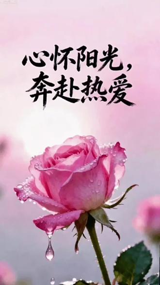 我的抖音生活日记,早安!