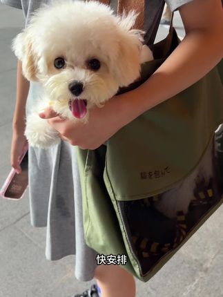 终于找到一款适合夏天背的宠物背包了,毛孩子呆在里面很舒服,特别好用,也不伤害毛孩子脊椎,走哪带哪很方便#宠物背包外出便携#萌宠 #无限回购的宝藏单品