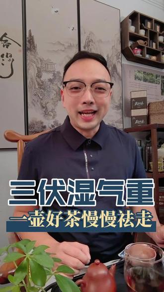 三伏天就要来了,六堡茶喝起来吧#六堡茶祛湿 #六堡茶知识 #六堡茶 #六堡茶功效 #六堡茶历史
