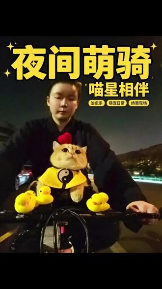 小猫向麻麻索要亲吻 #骑行友好计划 #骑行猫 #萌宠出道计划 #带着宠物去旅行