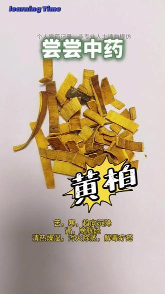 尝尝中药-黄柏 #尝尝中药 #黄柏 #中草药 #饮片 #中医药