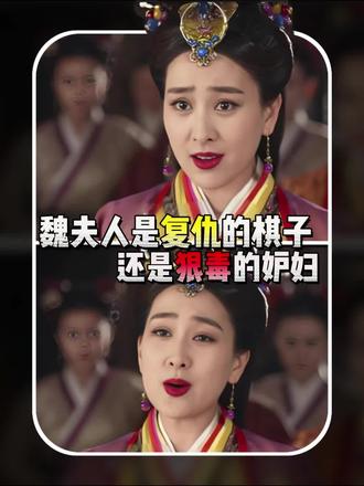 魏夫人,到底是家族复仇的棋子,还是天生狠毒的妒妇?#抖音精选 #青年创作者成长计划 #深度解析