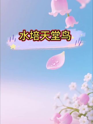 夸孩子也是一门学问要用对方式,不然只能适得其反。#亲子教育 #育儿 #家庭教育 #父母课堂 #干货分享