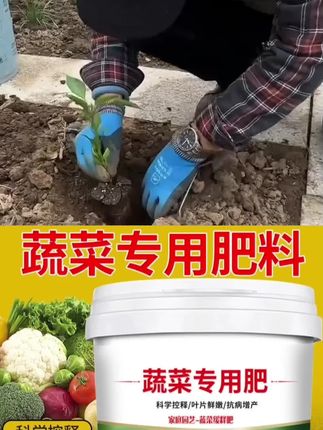 #蔬菜种植 #蔬菜通用肥 #肥料 #三农 #通用 型蔬菜专用肥料黄瓜西红柿韭菜白菜萝卜果蔬绿植复合化肥颗粒有机肥