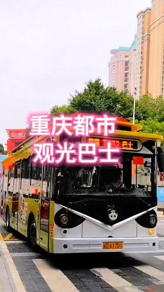 #重庆游玩,#重庆都市观光巴士,熊猫巴士B线单人票99,导游随车同行,每到一处景点给大家讲解,1米2以下的儿童免费不占座,提前一天预约,点击视频左下角定位团购。