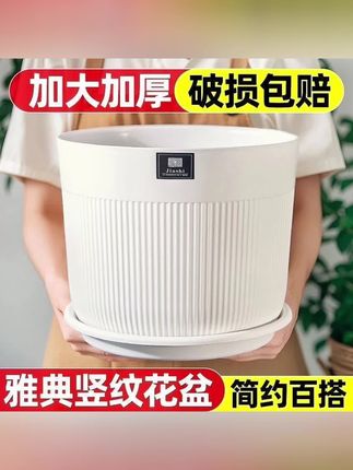 条纹简约加厚家用龟背北欧天堂鸟大号仿陶瓷花盆清仓处理客厅白色#花盆