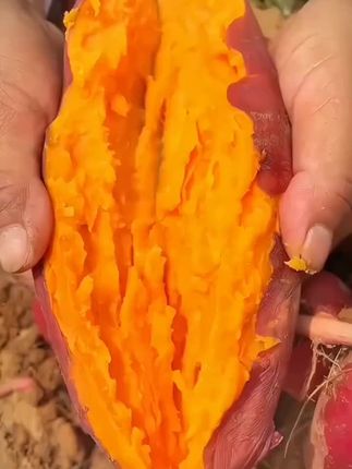 新鲜红心蜜薯糖心红薯正宗西瓜红蜜薯新鲜现挖农家自种烤红薯香甜