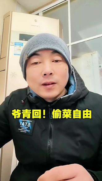 17年青春不散场!QQ经典农场2.6双端回归,#偷菜+好友拍一拍,爷的田园回来了✨ #qq农场偷菜 #爷青回 #青春不散场