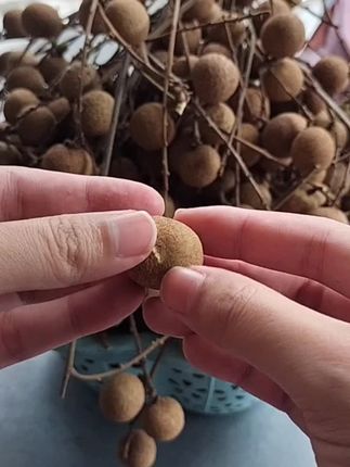 #潮汕民俗文化 #农村生活 #正能量 #好物推荐