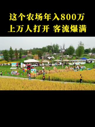 这个农场一年营收800万,上万人打卡,客流量爆满,活却全交给顾客干,值得研究学习#农场 #亲子 #研学 #乡村振兴 #休闲农业