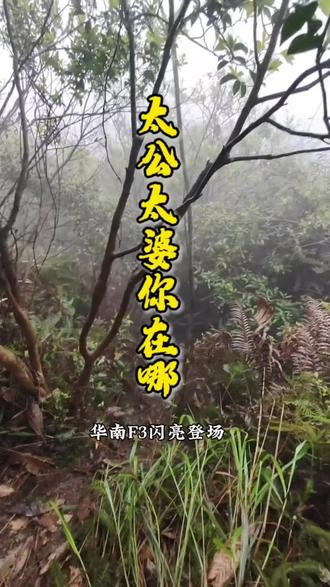 太公太婆藏好了吗 欢迎收看华南F3大型荒野节目之《太公太婆你在哪》?#祭祖 #清明节 #搞笑#热门