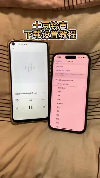 《牛油果汁》土豆铃声怎么下载,土豆铃声下载设置教程,土豆biabiamimia详细设置教程 #biabia #土豆铃声怎么下载 #土豆 #biabiamiamia #土豆biabiamiamia铃声设置教程