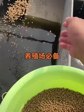 鼎足乌龟饲料种龟草龟巴西龟石金钱鳄龟高蛋白补钙#龟粮 #水产养殖