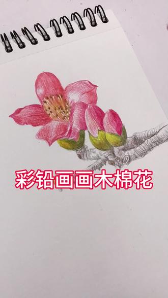 彩铅笔画木棉花#彩铅笔#画画#亲子