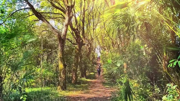 南昌·中国傩园vlog |“绿野仙踪”路线攻略 #南昌 #傩园