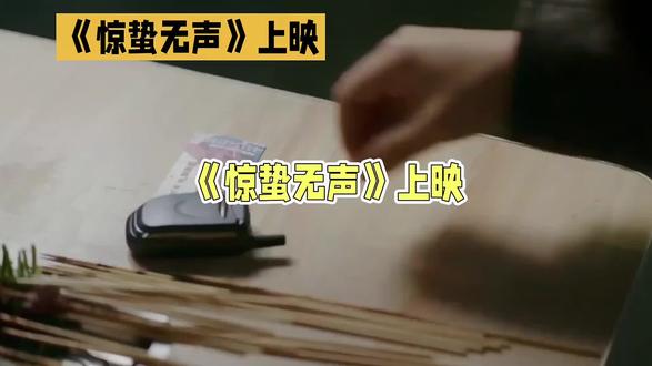 张艺谋执导、国安部指导的首部当代国安谍战片,讲述国安小组追查战机涉密泄密案、揪出内鬼,在都市展开高科技无声暗战。