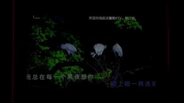 回家了整点活,对不起了💢💢💢#针锋对决#顾青裴 #针锋对决