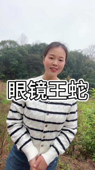 #眼镜王蛇 体型最大、排毒量最多的毒蛇#蛇#科普一下 #自然与动物