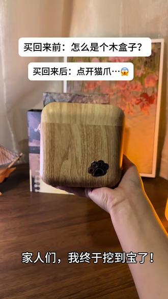 怎么是个木盒子…#胆小喵 #哈基米 #小夜灯推荐 #木盒子