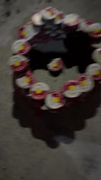 彩菊应该这样玩#烟花