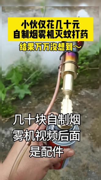 小伙手工技术确实很强,但是买个全新的也才几十块啊#烟雾机 #自制烟雾机 #小型烟雾机 #灭蚊 #打药