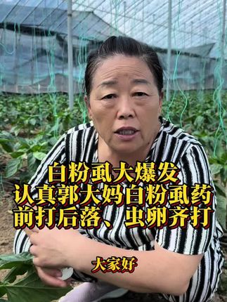 #白粉虱的防治方法