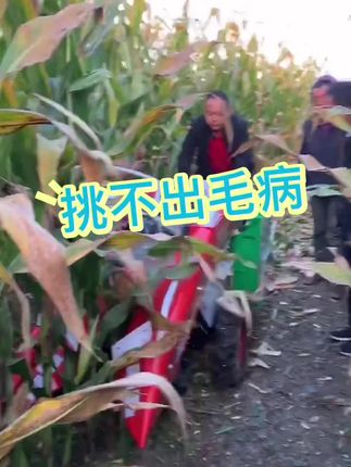 三兴小旋风 剥皮快又轻 小机器是真挑不出毛病#三兴小旋风 #单行玉米收割机 #省时省力效率高 #玉米剥皮神器