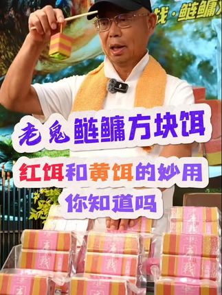 老鬼鰱鳙方块饵 红饵和黄饵的妙用你知道吗?小小的一招帮你上大鱼!钓鱼人一定要知道!#爆护饵料 #浮钓鲢鳙 #夏日钓鱼技术大赏 #钓鱼人就是这么疯狂 #野外垂钓