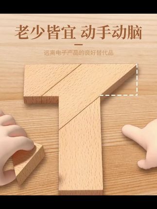 【智力挑战益智100关】益智木质拼图平面几何拼板益智动脑#木质拼图 #益智教具 #智力挑战 #平面几何 #动脑玩具