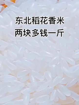 东北五常稻花香大米新米上市了 #口感特别好 #五常稻花香大米 #米饭 #东北大米#东北大米就是香