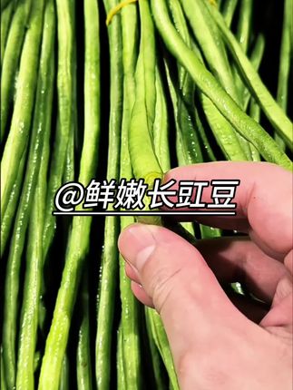 谁说豆角子不好吃的?这款长豇豆又鲜又嫩现摘现发,炒的时候放少许油将豆角煸起虎皮,加大蒜青椒爆炒,这样炒出来的豆角软糯鲜香又下饭!#家常菜 #长豆角#豇豆 #豆角焖面