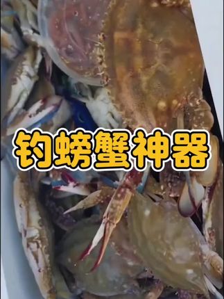 这是一款专为钓螃蟹而研发的螃蟹笼子,使用非常简单,容易上手。#钓螃蟹 #钓螃蟹神器 #钓螃蟹的方法 #赶海 #钓鱼