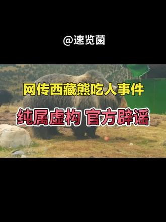 官方辟谣,西藏熊吃人事件,纯属虚构!#西藏丁青县熊吃人事件系谣言 #藏马熊 #辟谣 #媒体精选计划 #野生西藏